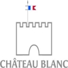 Company icon