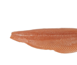 Noorse zalmfilet