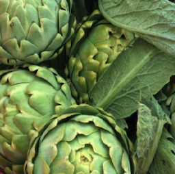 CANNED VEGETABLES