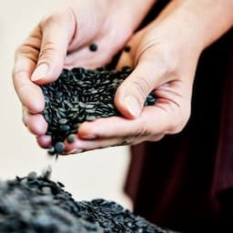 recycled plastic raw materials
