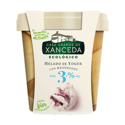 Organic Yogurt Ice Cream with Blueberries