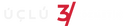 Company icon