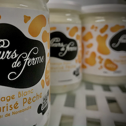 Pasteurized White Cheese with Flavor - Flavored White Cheese