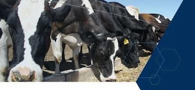 Raw Materials for the Agricultural Industry - MINERAL COMPOUNDS FOR AGRICULTURE & FEED INDUSTRY