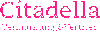 Company icon