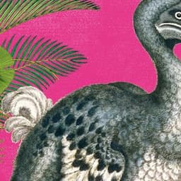 Natural History Museum Gift Stationery and Greeting Cards from Museums & Galleries