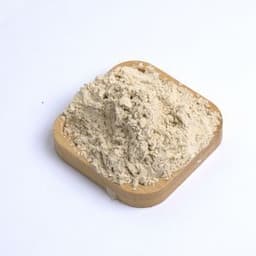 Chinese Factory Direct Supply Garlic Powder with Root 100-120 Mesh for Seasoning Spice