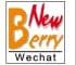 Company icon
