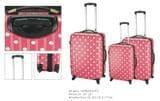 Polycarbonate Luggage (7310)
