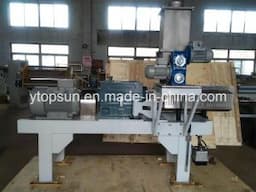 Powder Coating/Paint Producing/Manufacturing/Production/Making High Torque/Speed Twin Screw Extruder