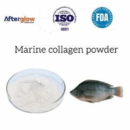 Factory Supply EXW Price Marine Collagen Granule Fish Hydrolyzed Collagen Peptide