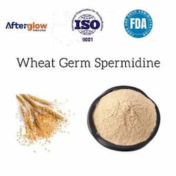 Factory Supply EXW Price 0.2% 1% 2% 5% Spermidine Powder Supplement