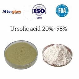 Factory Supply Free Sample EXW Price Cosmetics Grade Ursolic Acid Supplement Raw Powder