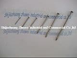 Common Nails