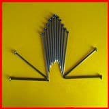 Top Quality Common Nail Tianjin Supplier