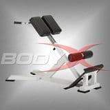 Commercial 45 Degree Back Extension Bench (CBE)