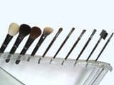 Cosmetic/Makeup Brush (VB-001)