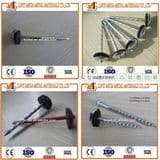 China Nails Factory Top Quality Screw Roofing Nails with Rubber Washer