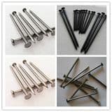 Nice Quality Common Nails From China