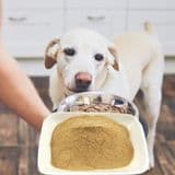 Dog Food Seasoning, Dog Snack Flavoring Powder, Healthy Dog Food Palatant