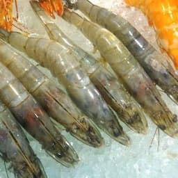Imported shrimp