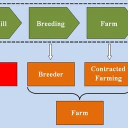 Feed, Breeder, Farm, Fresh Food, Processed Food