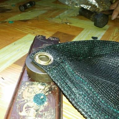 Manufacturing activity